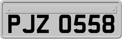 PJZ0558