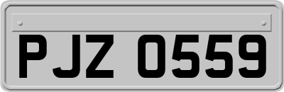 PJZ0559