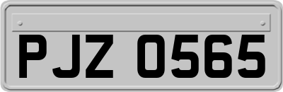 PJZ0565