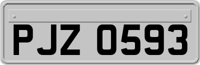 PJZ0593