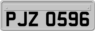 PJZ0596