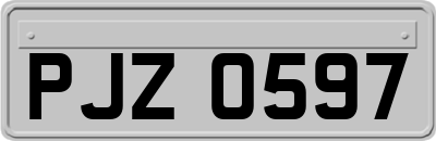 PJZ0597