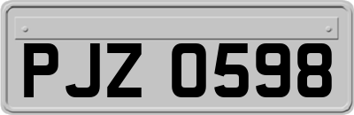 PJZ0598