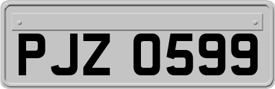 PJZ0599