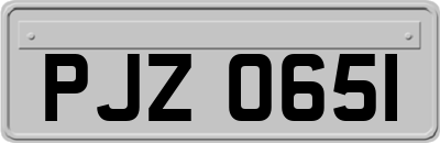 PJZ0651