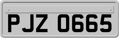 PJZ0665