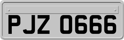 PJZ0666