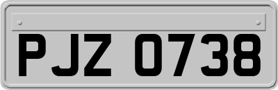 PJZ0738