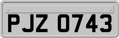 PJZ0743