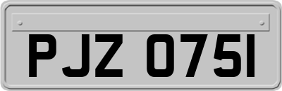 PJZ0751