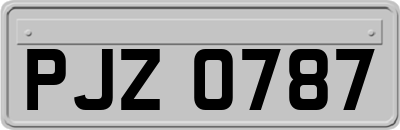 PJZ0787