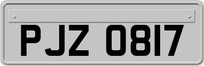 PJZ0817