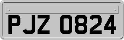 PJZ0824