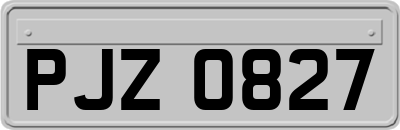 PJZ0827