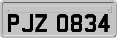 PJZ0834