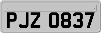 PJZ0837