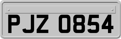 PJZ0854