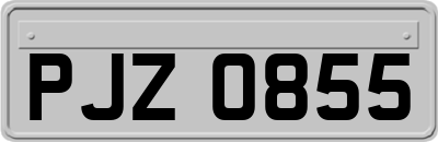 PJZ0855