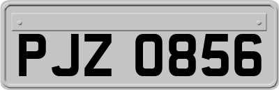 PJZ0856
