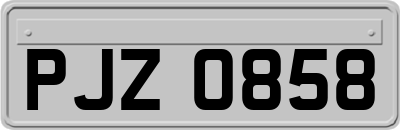 PJZ0858