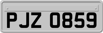 PJZ0859