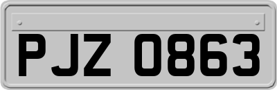 PJZ0863