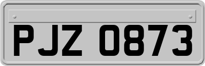 PJZ0873