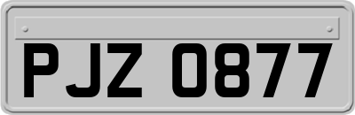 PJZ0877