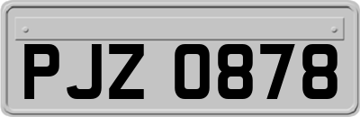 PJZ0878