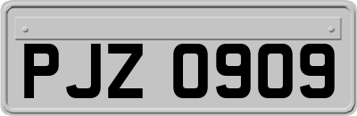 PJZ0909