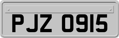 PJZ0915