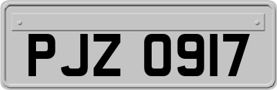 PJZ0917