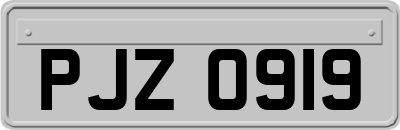 PJZ0919