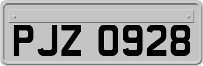 PJZ0928