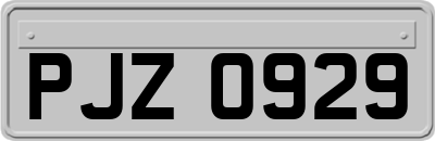 PJZ0929