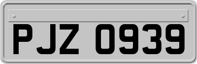 PJZ0939