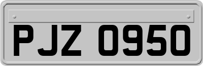 PJZ0950