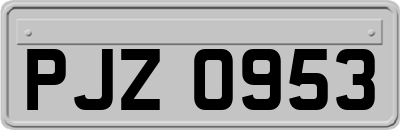 PJZ0953