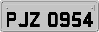 PJZ0954