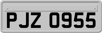PJZ0955