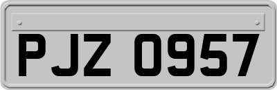 PJZ0957