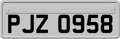 PJZ0958
