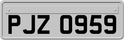 PJZ0959