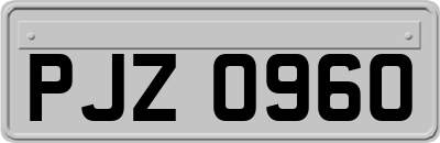 PJZ0960