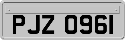 PJZ0961