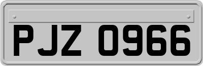 PJZ0966