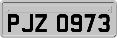 PJZ0973