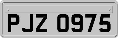 PJZ0975