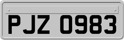 PJZ0983