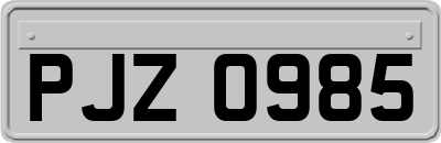 PJZ0985